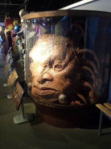 Foto di profilo su gentile concessione di Face of Boe