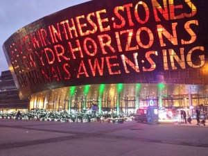 Il Millenium Centre rende ancora di più in notturna.