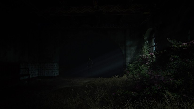 Ogni fotogramma di questo gioco è un quadro.